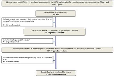 Using Co-segregation and Loss of Heterozygosity Analysis to Define the Pathogenicity of Unclassified Variants in Hereditary Breast Cancer Patients